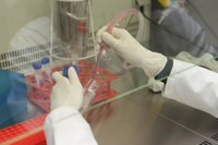 La sanidad pública malagueña consigue más de un millón de euros para diez proyectos de investigación