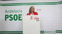 El PSOE pide en el Congreso la mejora de las pensiones de viudedad, que rondan las 25.000 en la provincia de Huelva