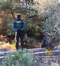 Localizan a un anciano desaparecido en La Llosa (Castellón)