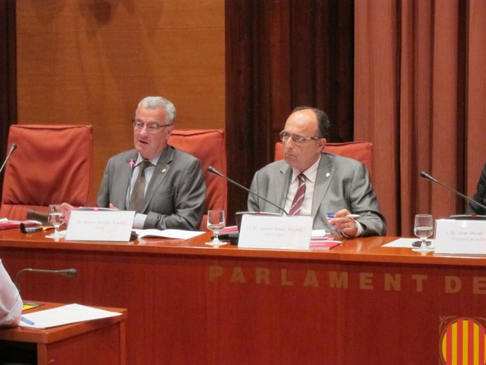 Andreu Morillas i Jaume Amat 