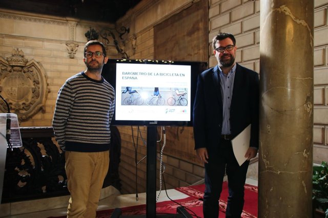 Datos sobre bibi en Palma