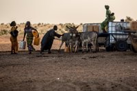 Un millón de personas en riesgo de crisis alimentaria en Mauritania y Senegal en 2018