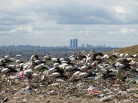 Los 28 y la Eurocámara acuerdan reciclar el 65% de los residuos urbanos en 2035 y reducirlos al 10% en vertederos