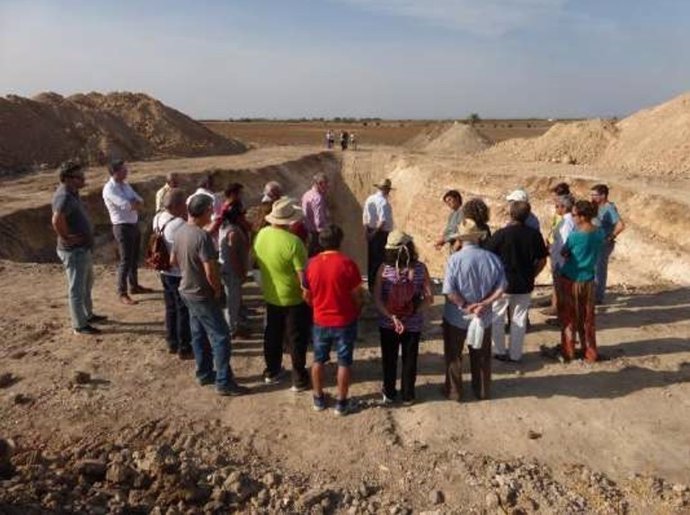 Lugar donde se han realizado labores de exhumación en Fuentes de Andalucía 