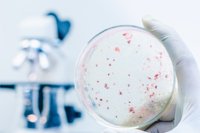 Salud finaliza la investigación por el brote de legionela detectado en Palmanova