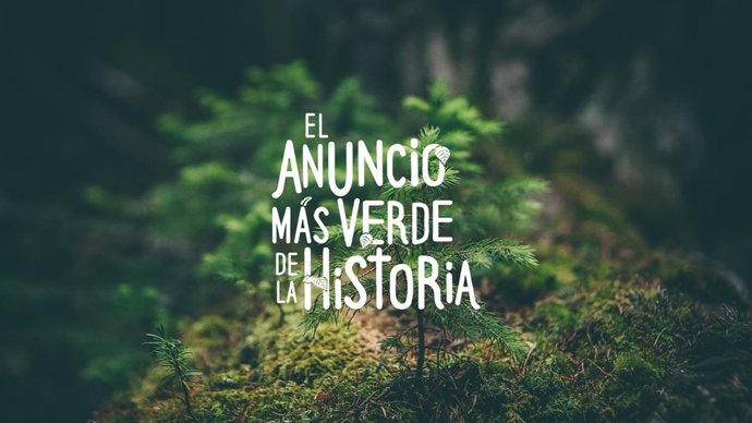 Campaña de reforestación de Bosques Sostenbiles