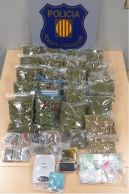 Marihuana aconseguida pels Mossos del local de l'associació cannábica