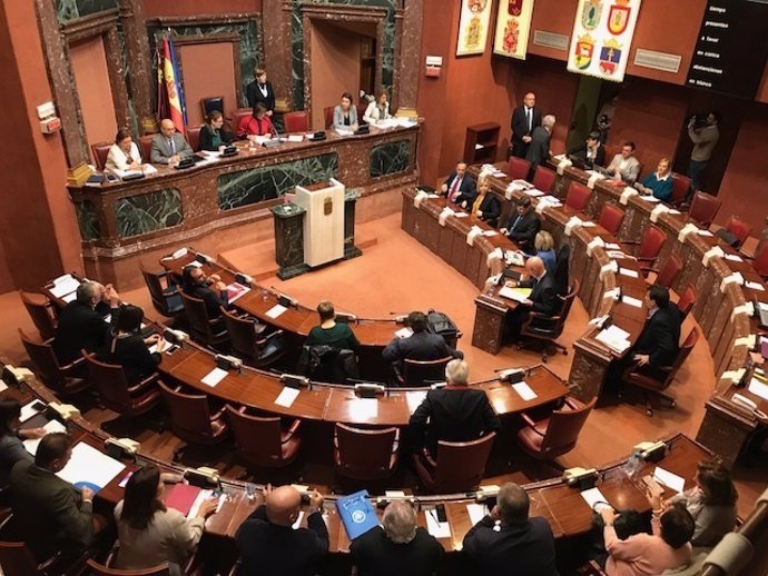 Imagen del Pleno de la Asamblea