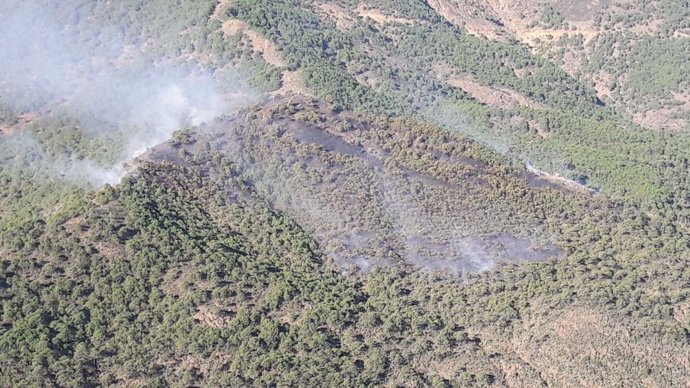 Incendio Benahavís 19/12/2017