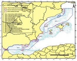 Mapa del corredor migratorio de cetáceos en el Mediterráneo