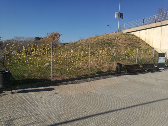 Los lazos amarillos delante del colegio de Sant Cugat que ha denunciado Cs 