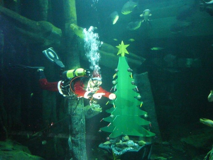 Árbol de Navidad subacuático en el acuario