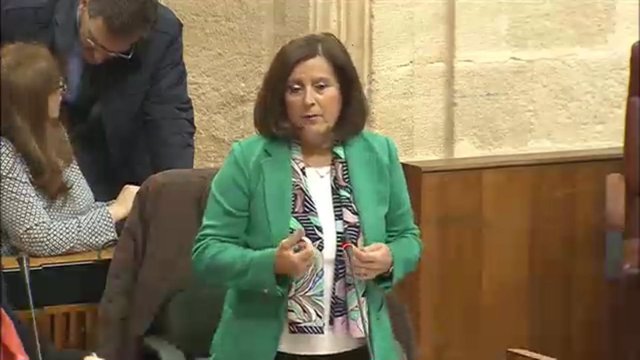 María José Sánchez Rubio en el Pleno del Parlamento