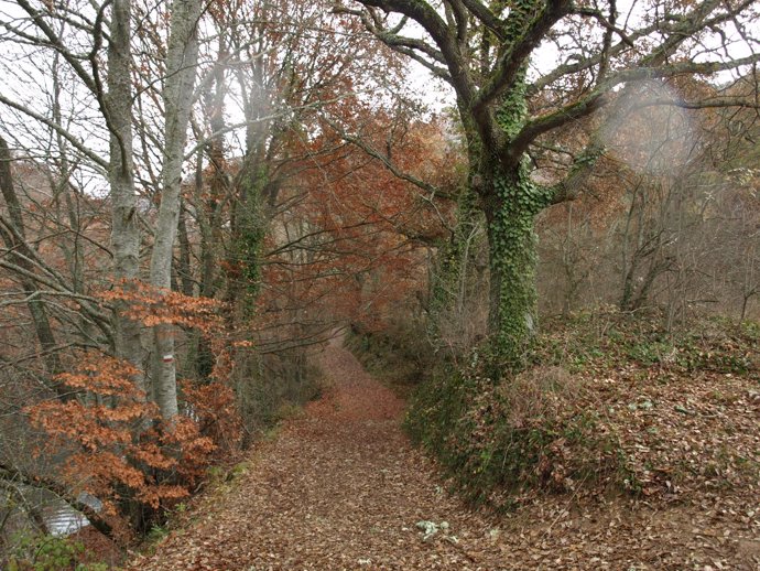 Otoño en Cantabria  