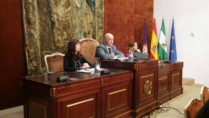 Antonio Ruiz preside el Pleno de la Diputación de Córdoba