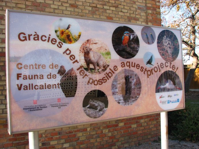 Centre de Fauna Vallcalent