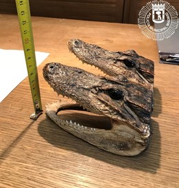 Uno de los artículos