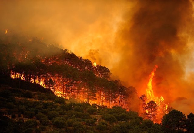 Incendio forestal en Collado Mediano (Madrid) el 1 de julio de 2009