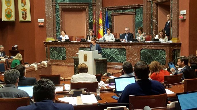 María Giménez (Podemos) Pleno Asamblea