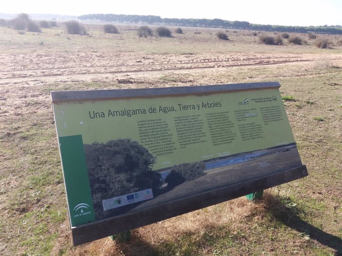 Imagen de la Dehesa de Abajo, en en entorno de Doñana