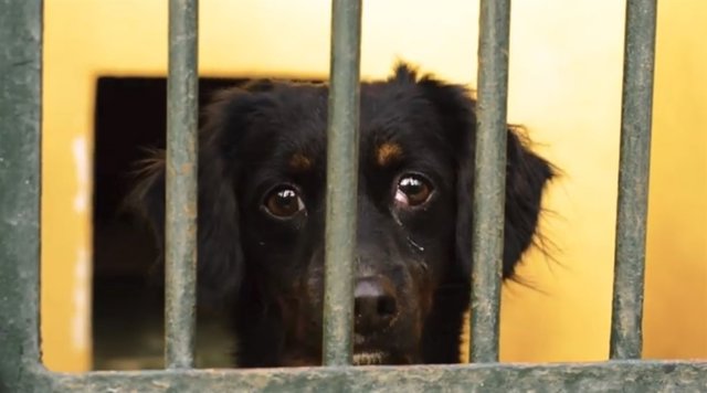 Fotograma del vídeo