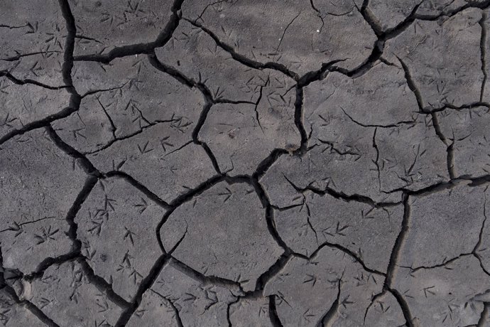 Greenpeace documenta la sequía en el Río Camba, en Campobecerros, Orense.