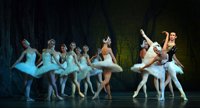 El Royal Russian Ballet interpretará 'El lago de los cisnes' de Tchaikovsky en el Teatro de San Lorenzo de El Escorial