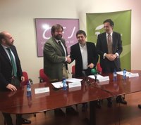 La Diputación y CEJ impulsan el proyecto 'Jaén Sinergia' para potenciar la cooperación entre pymes y grandes empresas