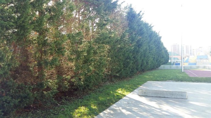 Vallado tras árboles. Parque Cros. Maliaño. Camargo 