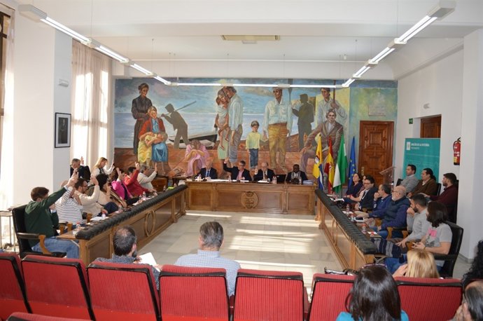 PLENO AYUNTAMIENTO DE RINCÓN 