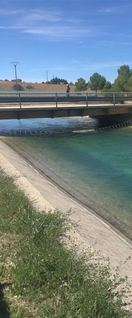 Embalse, trasvase, riego, regadío, agua, canal, Tajo-Segura