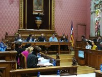 El pleno del Consell aprueba inicialmente el Plan de Equipamientos Comerciales de Mallorca