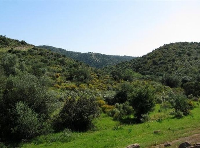 La Sierra Morena de Sevilla.
