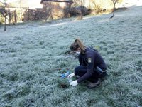 FOP insta al Gobierno a capturar el osezno herido en Liébana