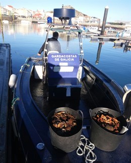 Pescado y marisco intervenido por los agentes