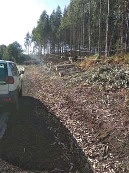 La Xunta vigila que las plantaciones cumplan las distancias de seguridad