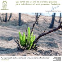 Susana Díaz felicita 2018 con la imagen de un brote verde en la zona del incendio de Doñana