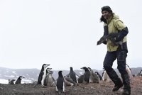 Una bióloga alicantina viaja a la Antártida para investigar el cambio climático en los pingüinos