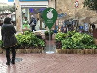 Instalan un huerto urbano en el centro de Palma con más de 500 hortalizas como promoción de la marca 'Venta Directa'