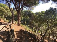 El Ayuntamiento de Marbella concluye los trabajos de mejora de la vegetación y el mobiliario del Pecho de las Cuevas