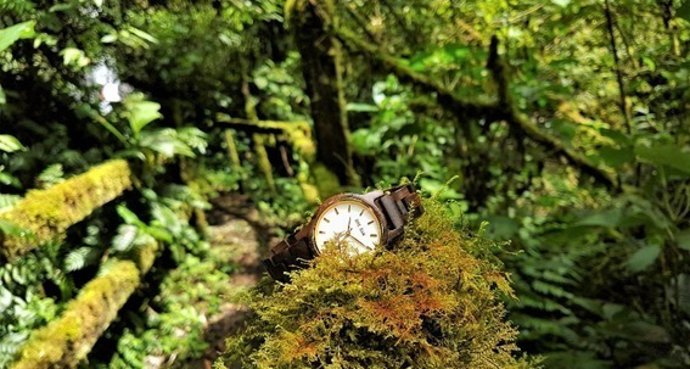 Campaña de reforestación ONE OAK