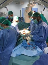 El Hospital San Juan de Dios de Sevilla registra una nueva donación multiorgánica que beneficia a cuatro pacientes