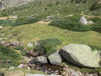 El Plan Rector del parque Guadarrama regulará la práctica del ciclismo, escalada y el uso de vehículos privados