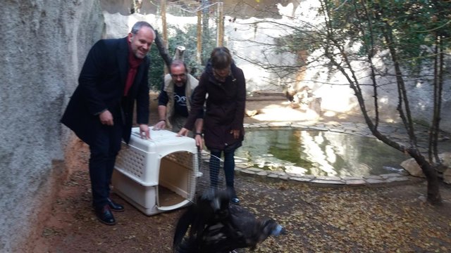 Algar (izda.) durante la cesión del buitre