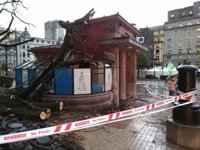 El viento provoca la caída de varios árboles en Oviedo, dañando uno de ellos el Escorialín