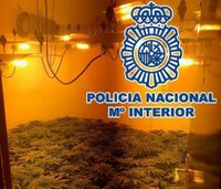 La Policía Nacional detiene a los responsables de dos robos con fuerza en establecimientos de Málaga