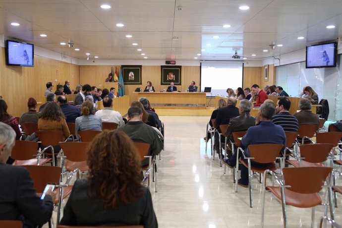 Imagen del Pleno de la Diputación de Sevilla