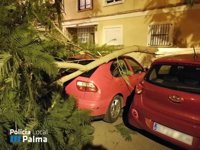 La Policía Local y los Bomberos de Palma atienden 57 servicios por el temporal de viento