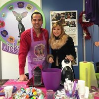 Aguado pide un "mayor compromiso" del Gobierno regional con la adopción de animales e insta a hacerlo en Navidad