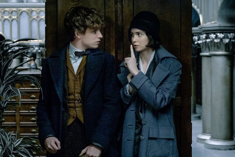 Newt Scamander y Tina Goldstein, reencuentro en la nueva imagen de